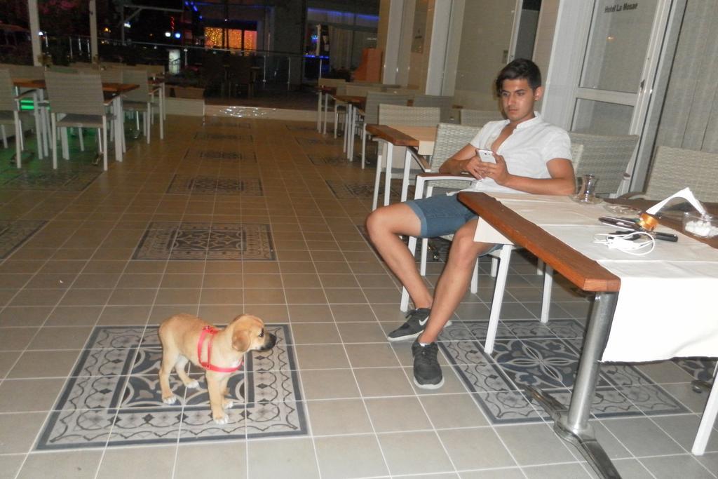 Hotel La Mosae Alanya Luaran gambar